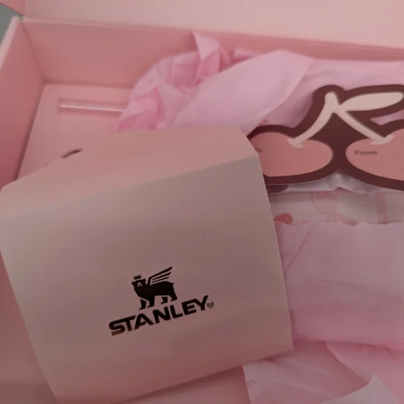 new STANLEY Protour Tumbler cup St Valentines gift 20 oz pink velvet cake 2026 - Picture 3 of 14